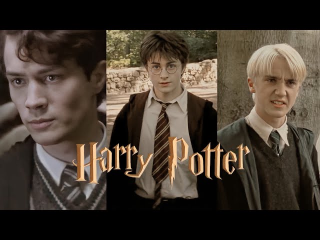 Harry Potter TikTok that made Draco become friends with Buckbeak