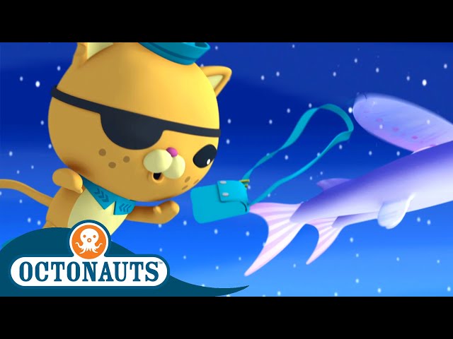 Octonauts - School of Flying Fish | Cartoons for Kids | Underwater Sea Education