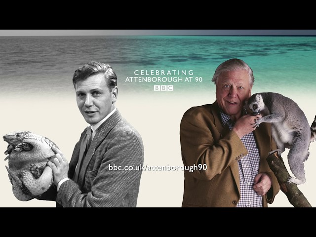 Interview with David Attenborough - Attenborough at 90 - BBC