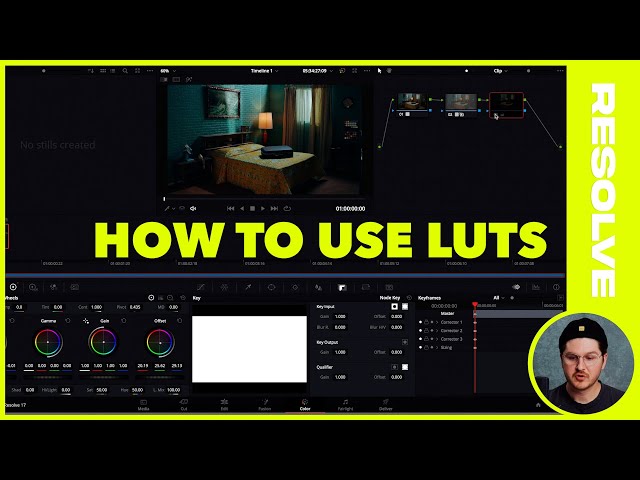 How to install and properly use LUTS in Adobe Premiere, Final Cut, & Davinci Resolve! Edit Tutorial