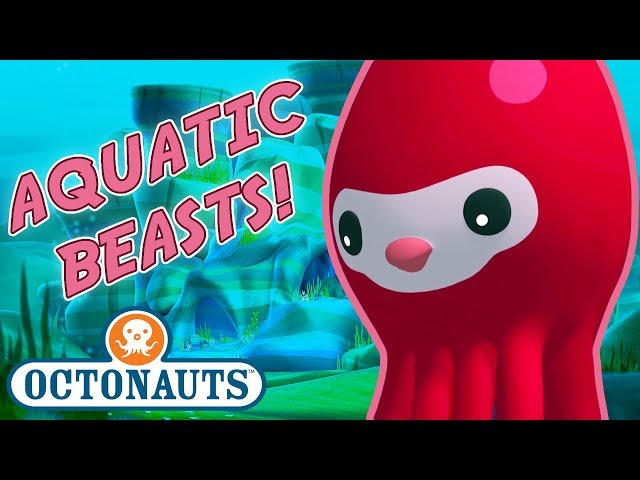 Octonauts - Learn about Aquatic Beasts | Cartoons for Kids | Underwater Sea Education
