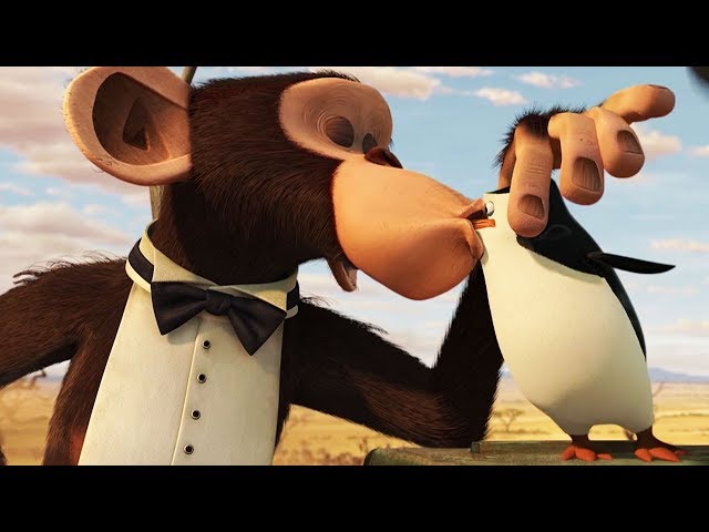 DreamWorks Madagascar | Mason and Phil Madagascar | Madagascar: Escape 2 Africa | Kids Movies