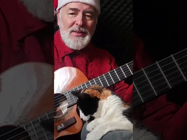 Merry Christmas 🎄 🎅 🐈 from Igor and Roxy #nowar #merrychristmas #guitar