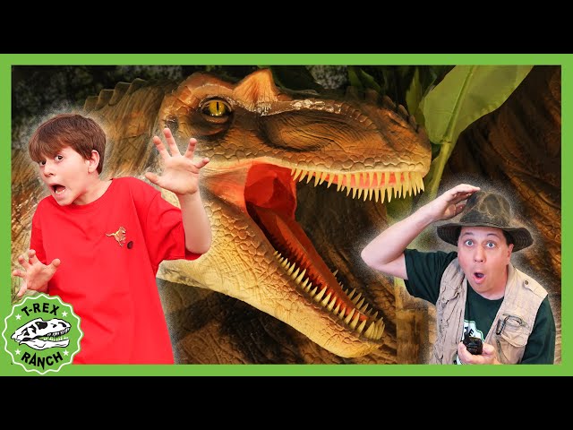Real Life Dinosaurs?! | T-Rex Ranch Dinosaur Videos