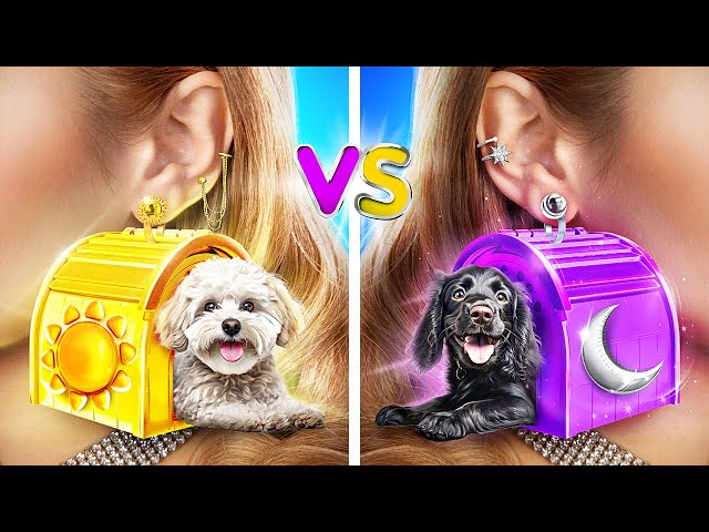 One Colored Dog House Challenge! Day Girl vs Night Girl!