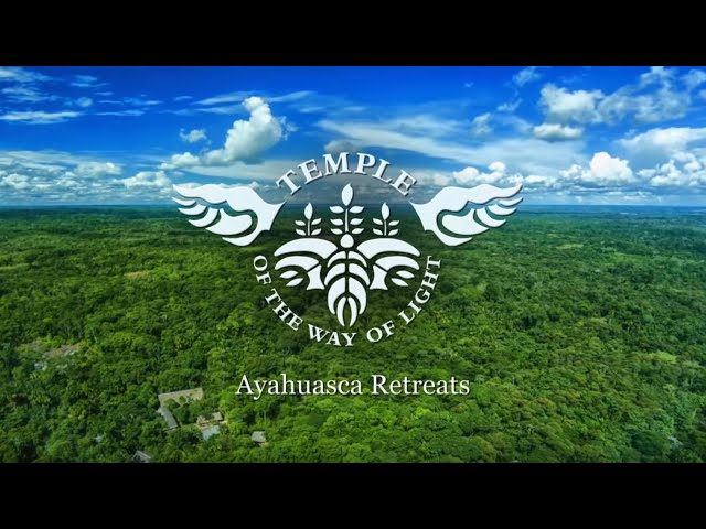 Introduction to the 23-Day Ayahuasca Retreat