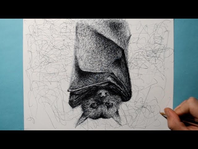 How to Draw a Realistic Bat / Ballpoint Pen Drawing / Fun Scribble Art Style