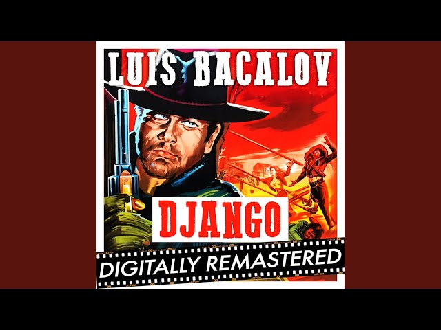 Django (English Version)