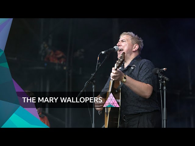 The Mary Wallopers - Frost Is All Over (Glastonbury 2024)
