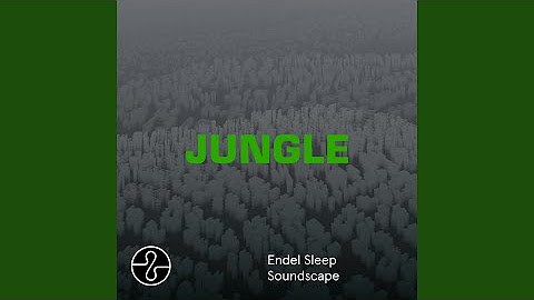 JUNGLE (Sleep Soundscape)