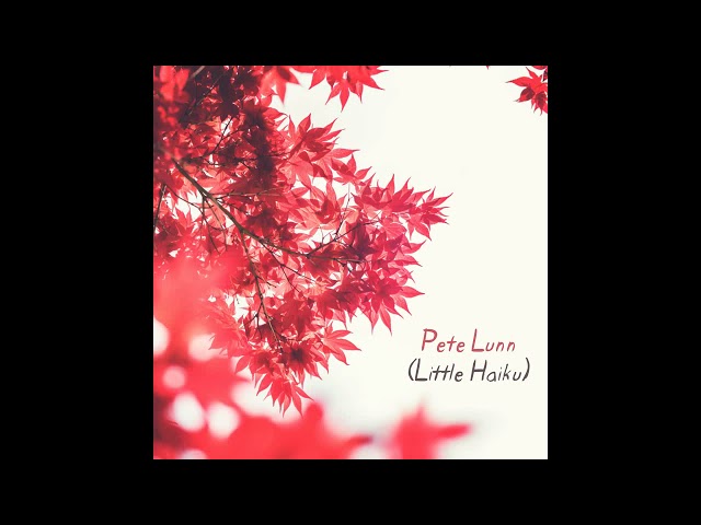 Little Haiku - Pete Lunn