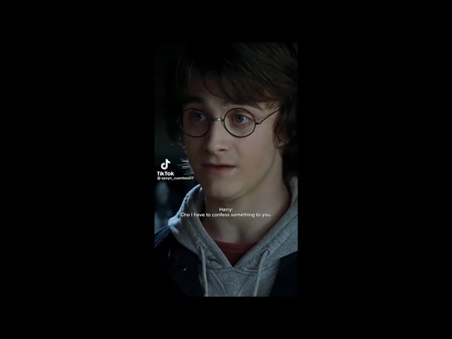 Harry Potter POVs (repost)