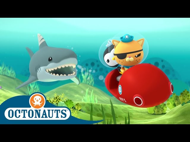 #StayHome Octonauts - The Great Shark Chase | Compilation | Cartoons for Kids