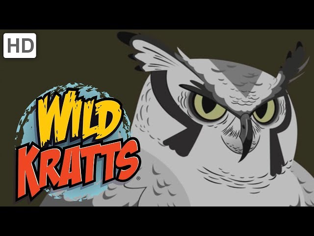 Wild Kratts - Feathered Friends