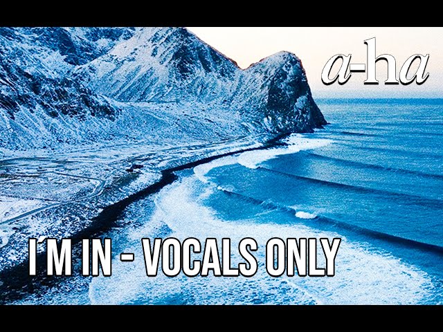 A-ha  - I´m in  (Vocals Only)