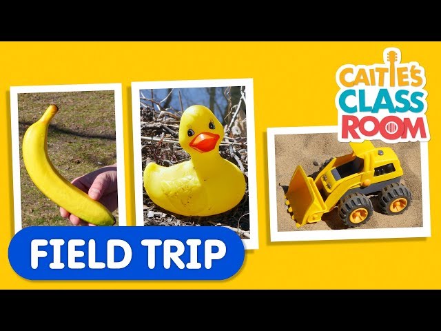Go On A Color Hunt With Caitie! | Caitie's Classroom Field Trip | Learning Colors Video for Kids