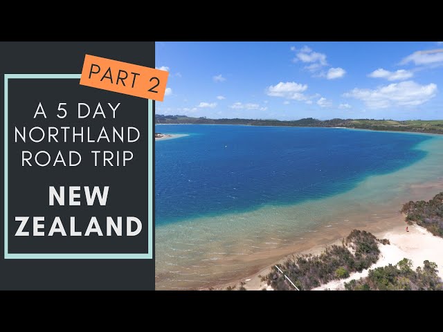 A 5 day New Zealand road trip through Karekare, Ahipara, Waipoua Forest, Kai Iwi Lakes, Auckland