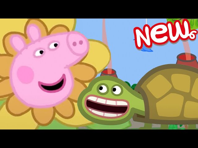 Peppa Pig Tales 🐷 Jokes and Pranks 🐷 Peppa Pig Videos