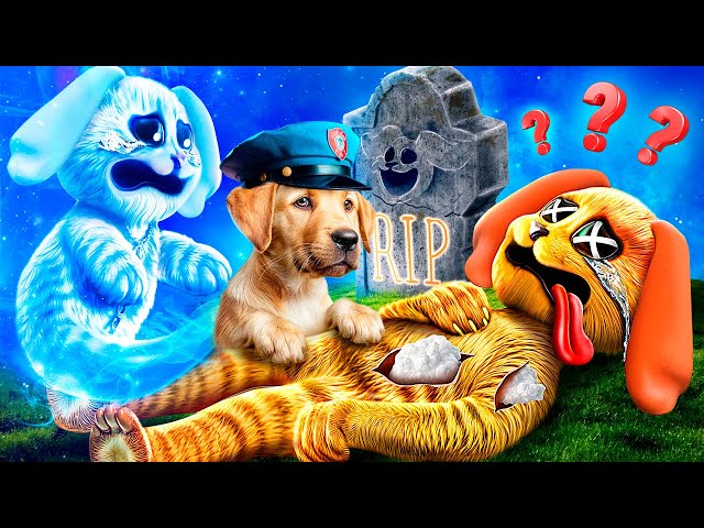 CatNap vs DogDay vs Miss Delight! Who Murdered DogDay? Giant Game of Clue in Poppy Playtime!
