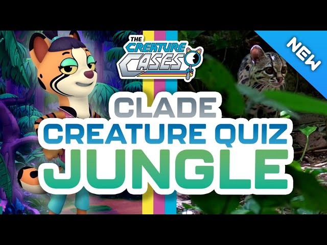 The Creature Cases - 🐍 Welcome to the CLADE Creature Quiz 🏆 | 🌳 Jungle Animals