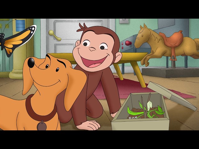 Curious George 🐵Hundley Jr. 🐵Kids Cartoon 🐵Kids Movies 🐵Videos for Kids